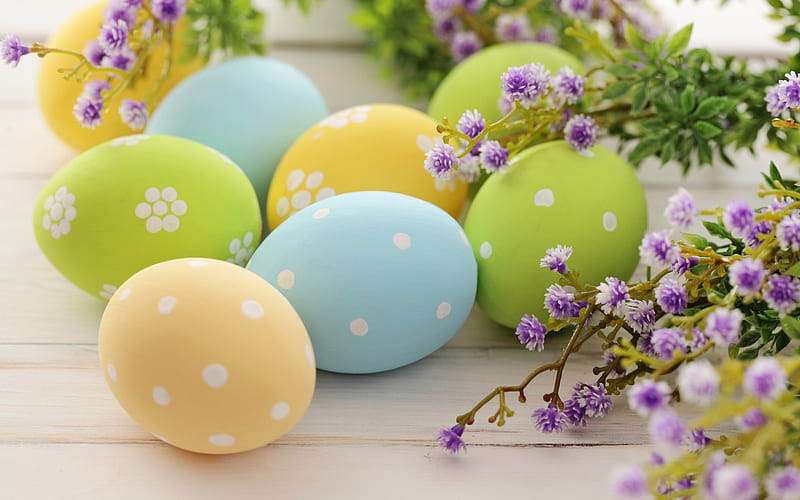 Easter eggs, colored eggs, spring flowers, spring, Easter, willow, HD wallpaper