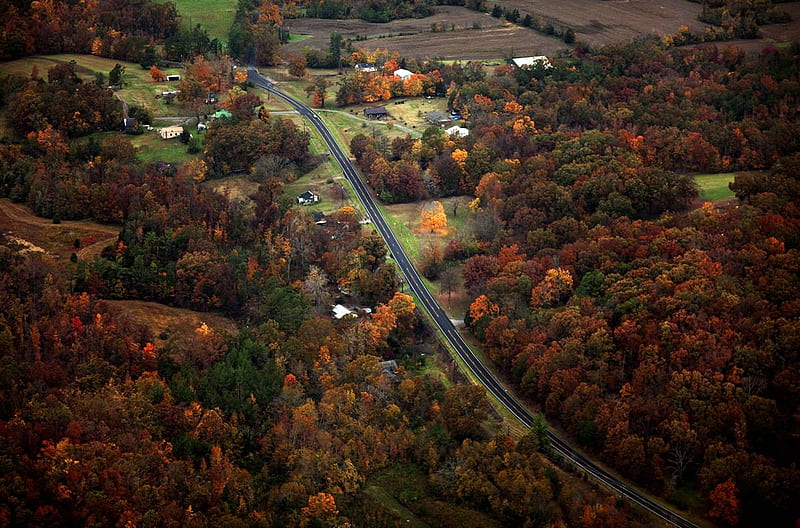 Rolling Hills Of Color, autumn, nature, HD wallpaper