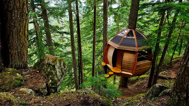 hemloft secret treehouse whistler canada, forest, tree, house, hill, HD wallpaper