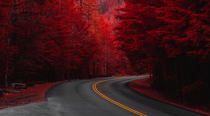 Autumn, Road, Aesthetic Ultra, Seasons, Autumn, bonito, Road, aesthetic, HD wallpaper