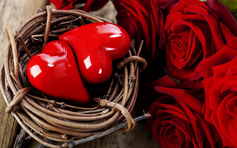 Socket for our love , two red, roses, nest, corazones, HD wallpaper