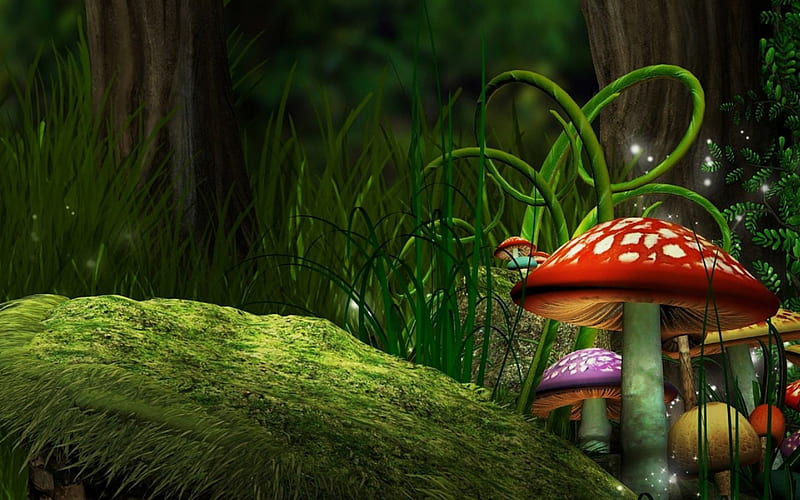 Fairyland, forest, plants, mushroom, fly mushroom, artwork, mystic, HD wallpaper