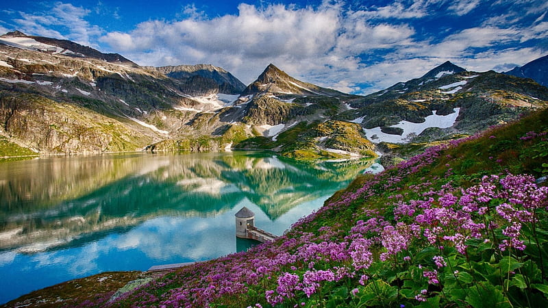 flowers around a mountainside lake, shore, mountains, flowers, clouds, sky, lake, HD wallpaper