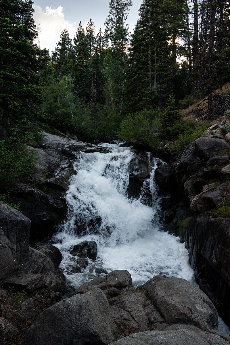 waterfall, trees, nature, dark, HD phone wallpaper