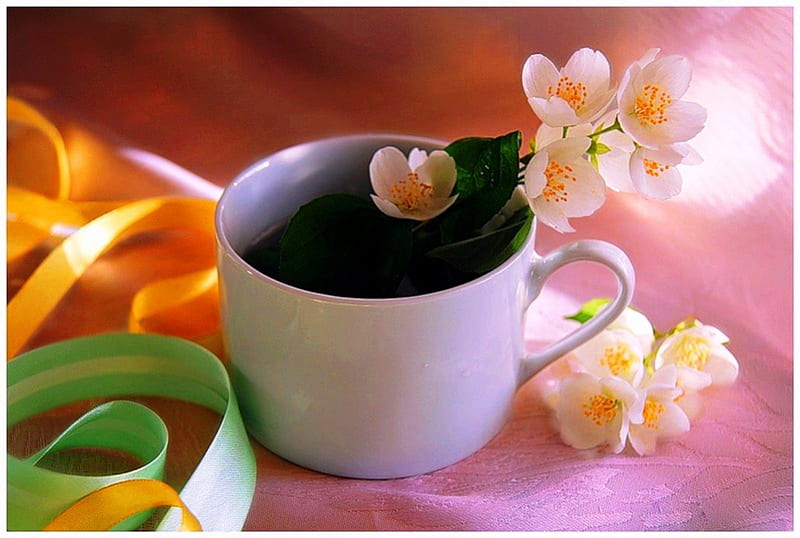 Cup of jasmine, jasmine, aromatic, coffee, flowers, cup, HD wallpaper