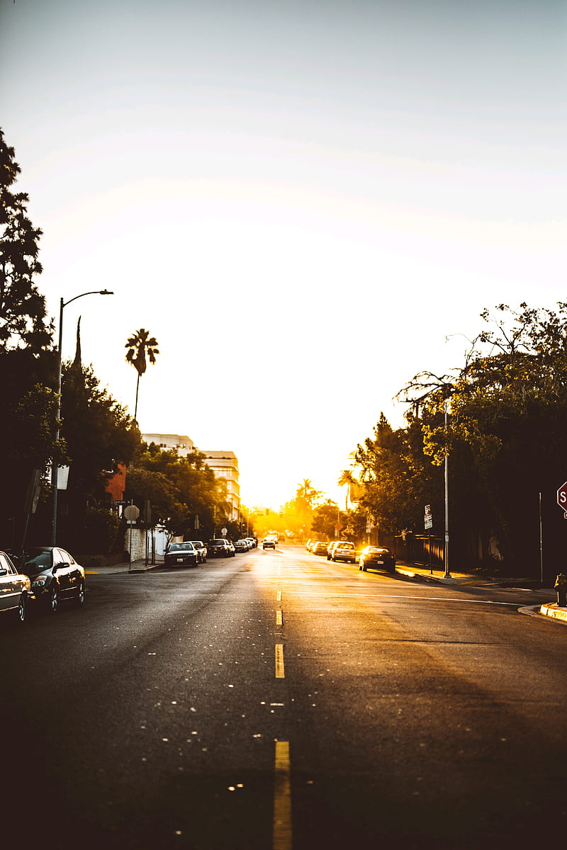 Los Angeles sunset, sunrise, fog, la, sun, morning, light, carros, edge, HD phone wallpaper