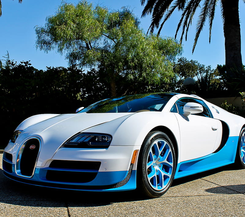 BUGATTI, blue, veyron, vitesse, white, HD wallpaper