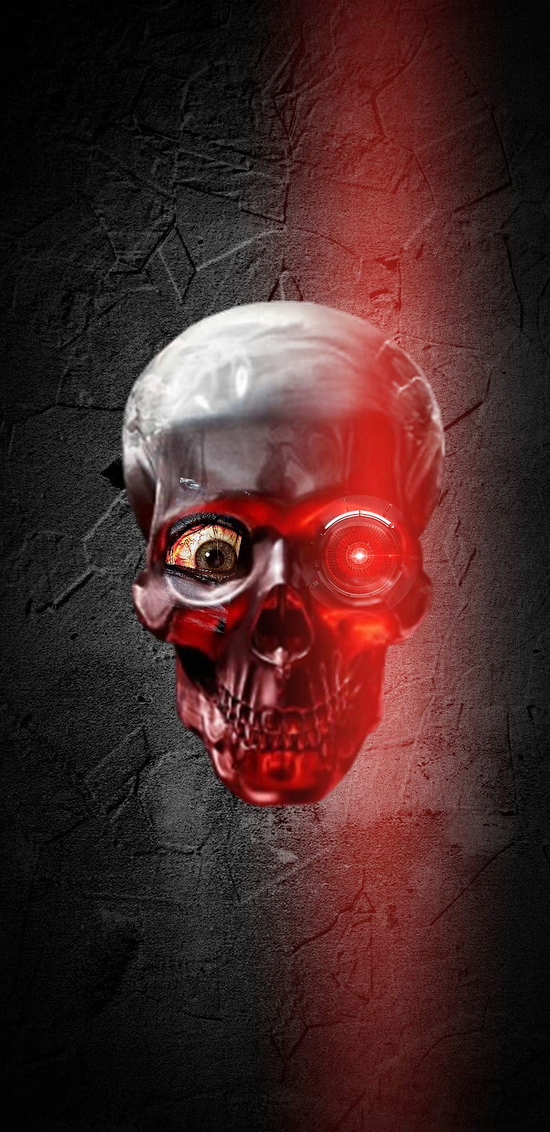 Android, horror, skull, terminator, HD phone wallpaper | Peakpx