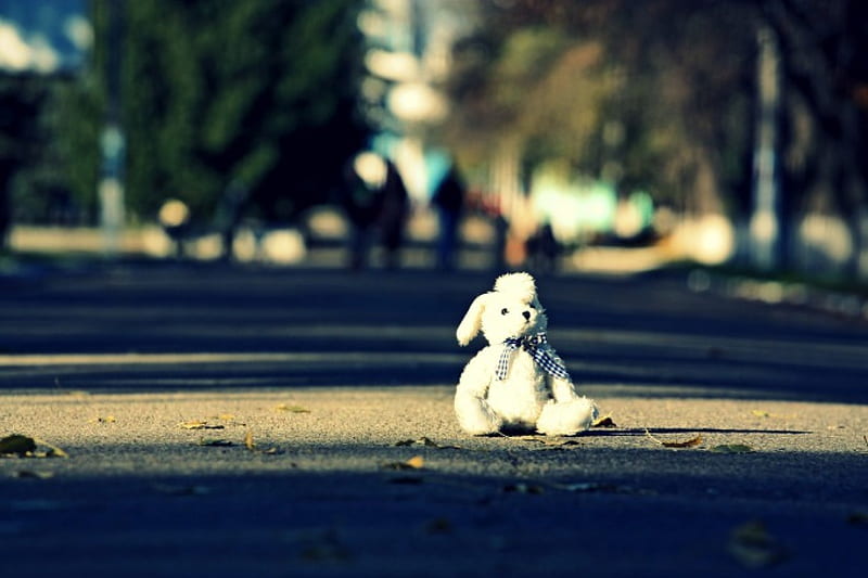 Alone, cute, nice, teddy, HD wallpaper Alone, cute, nice, teddy, HD wallpaper