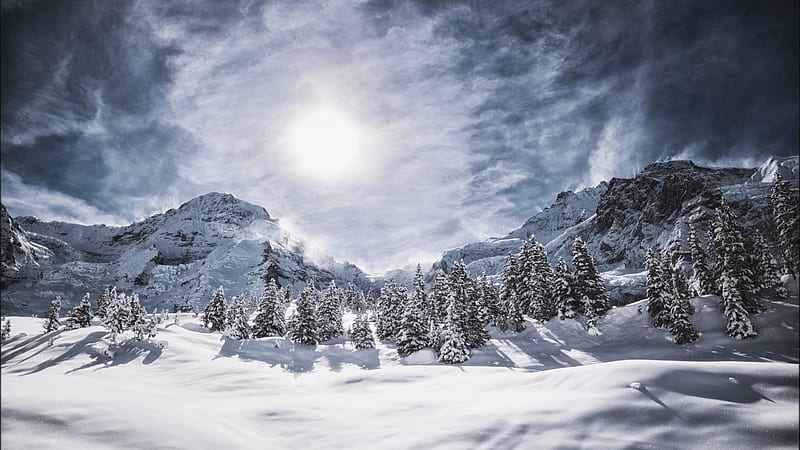 Alps Forest Mountain Covered With Snow Under Cloudy Dark Sky And Sun During Winter Nature, HD wallpaper