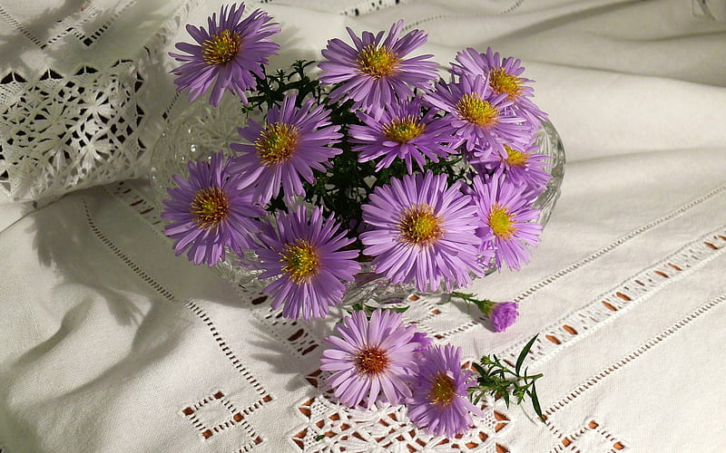 Asters, napkin, decorative art, flowers, HD wallpaper