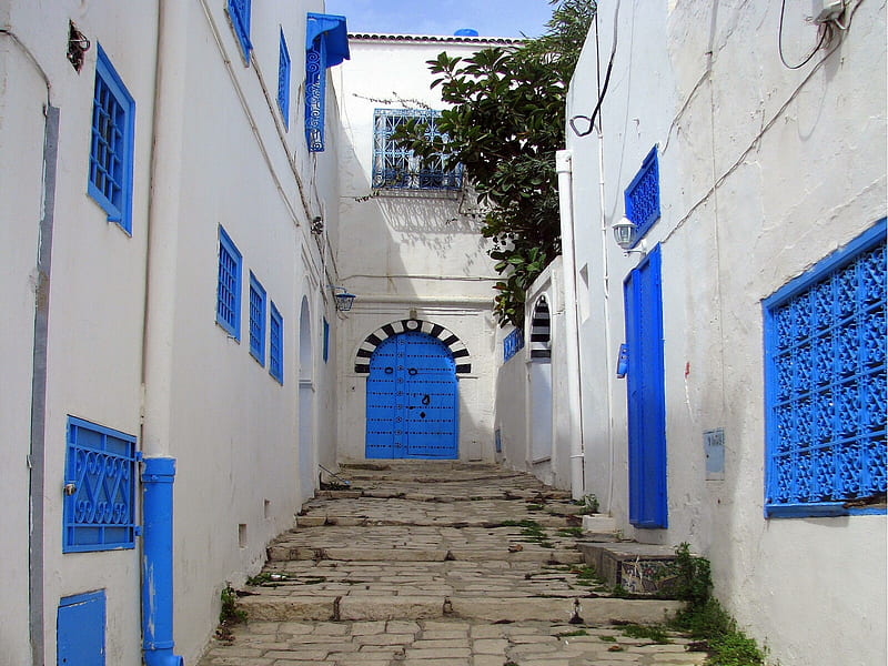 blue white tunisia houses, houses, tunisia, white, street, blue, HD wallpaper