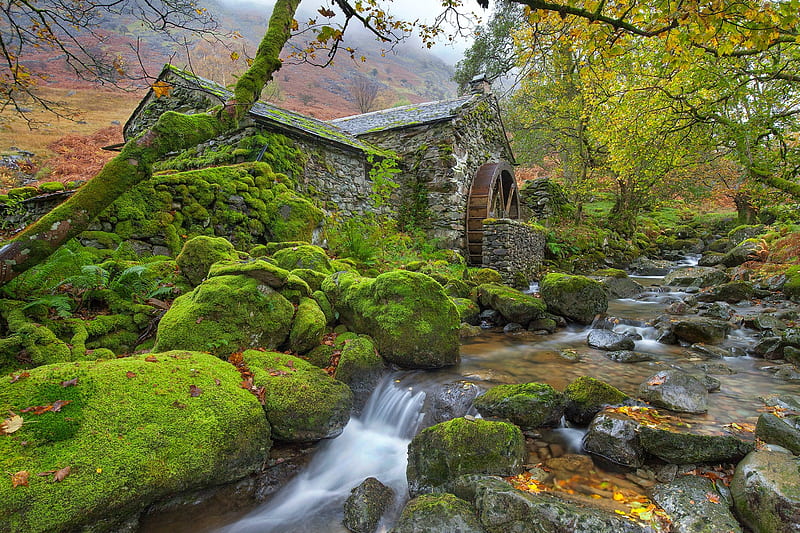 Old Water Mill in England, watermill, creek, natue, england, waterfalls, HD wallpaper