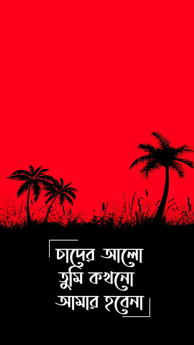 Alo, bangla, song, tahasan, HD phone wallpaper