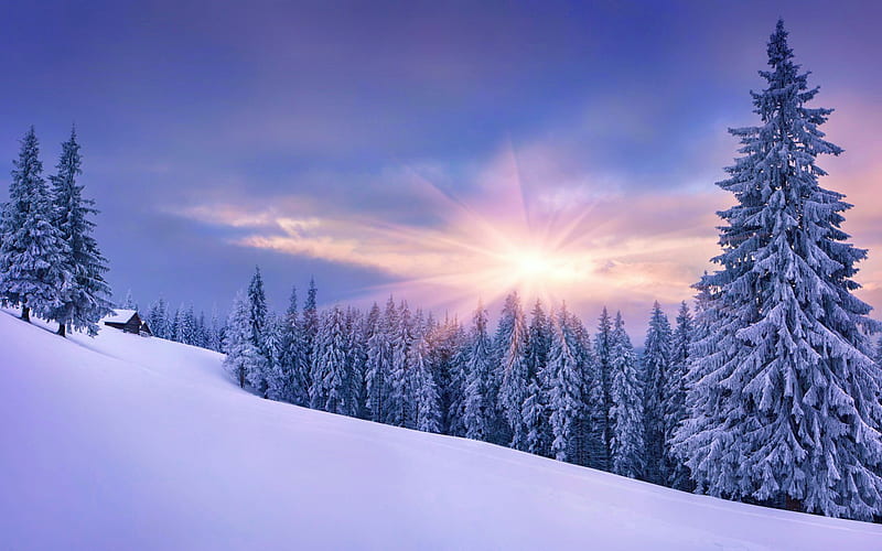 Winter landscape, sun, bonito, cabin, trees, sky, winter, mountain ...
