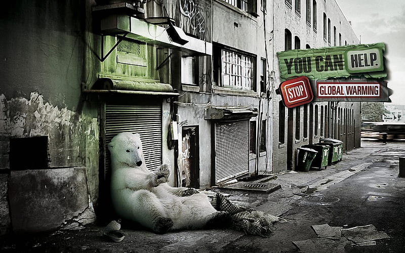 Stop Global Warming !, bear, fantasy, HD wallpaper