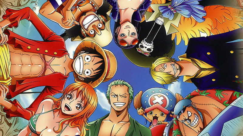 Characters from One Piece Anime Quad, Cartoon Characters, HD wallpaper