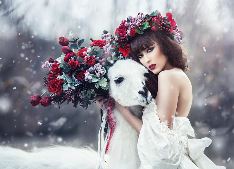 Beauty, red, wreath, model, woman, animal, winter, cute, girl, snow, lama, flower, white, HD wallpaper
