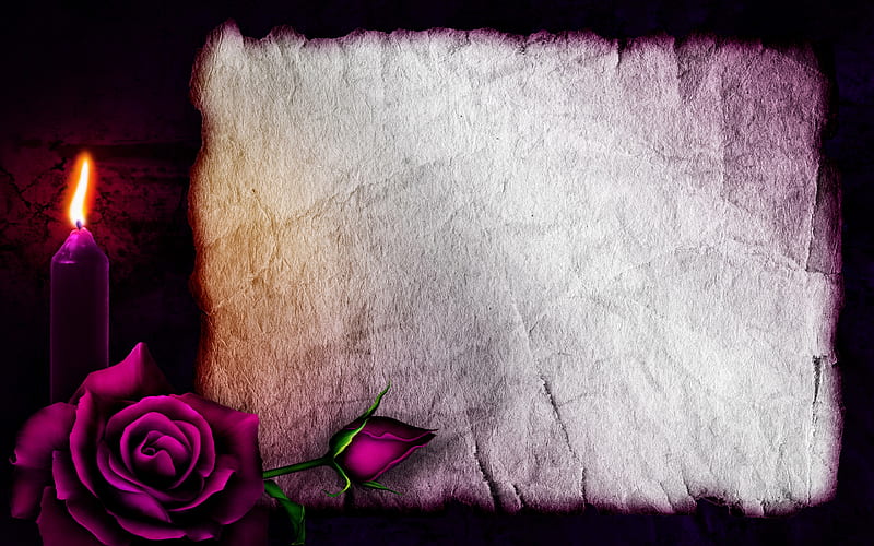 old blank paper macro, candle, purple rose, empty letter, darkness, HD wallpaper