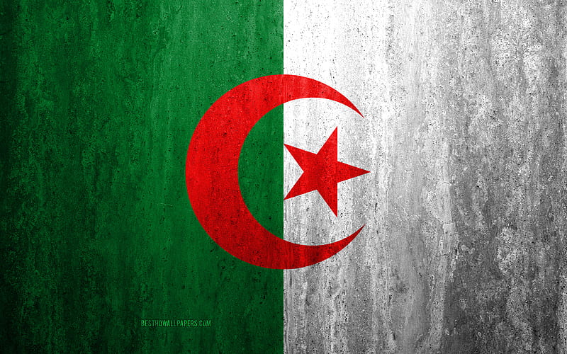 Flag of Algeria stone background, grunge flag, Africa, Algeria flag, grunge art, national symbols, Algeria, stone texture, HD wallpaper