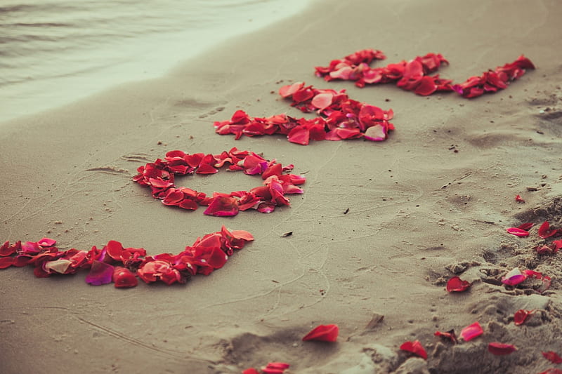 Love, romantic, beach, sand, romantic, romance, love, petals, sea, sweet, HD wallpaper | Peakpx Love, romantic, beach, sand, romantic, romance, love, petals, sea, sweet, HD wallpaper | Peakpx