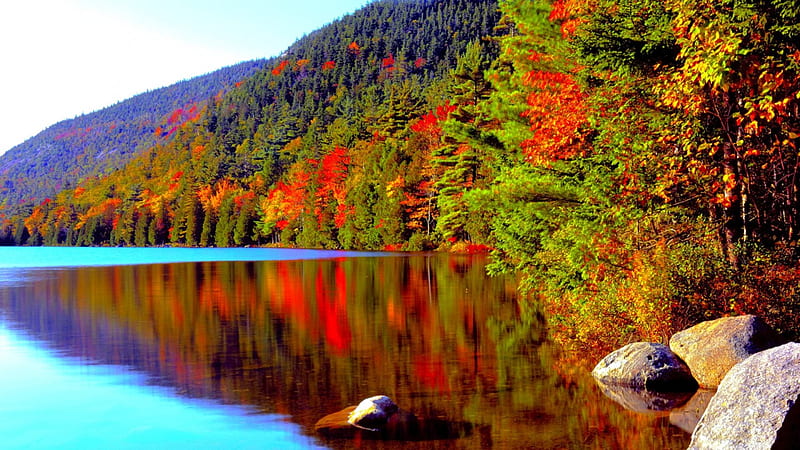 LAKE in AUTUMN, forest, autumn, fall color, conifer, acadia national park, lake, foliage, HD wallpaper