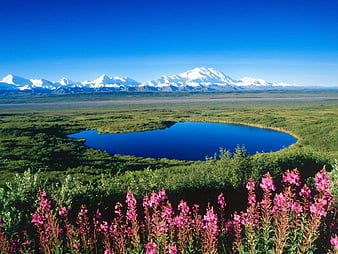 Alaska Denali National Park Lake With Mountain Reflection HD Nature  Wallpapers | HD Wallpapers | ID #50580