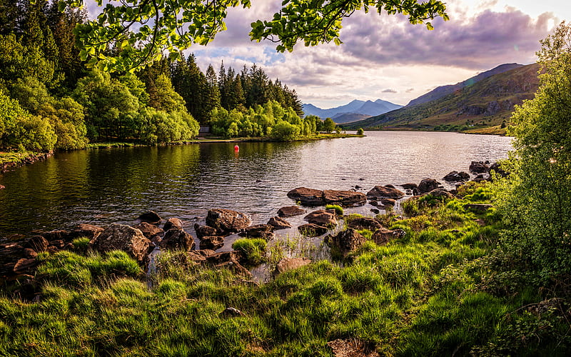 Snowdonia summer, beautiful nature, river, forest, Wales, UK, Great  Britain, HD wallpaper | Peakpx