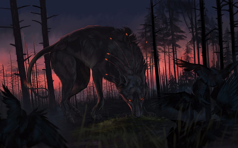 wolf, darkness, hunting, forest, fantasy art, HD wallpaper