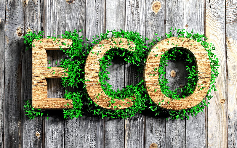 Eco 3d letters, ecology, wooden background, eco concept, HD wallpaper