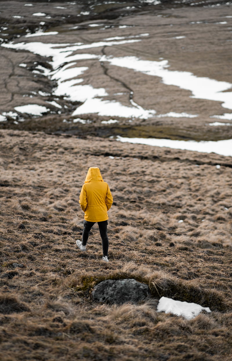person wearing yellow hooded jacket walking on field during daytime, HD phone wallpaper