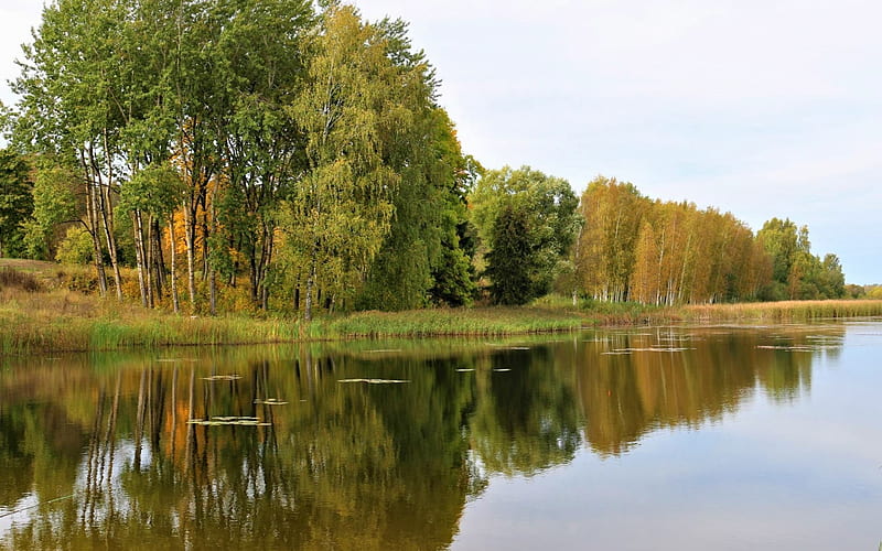 Lake in Latvia, Latvia, reflection, reservoir, lake, calm, HD wallpaper