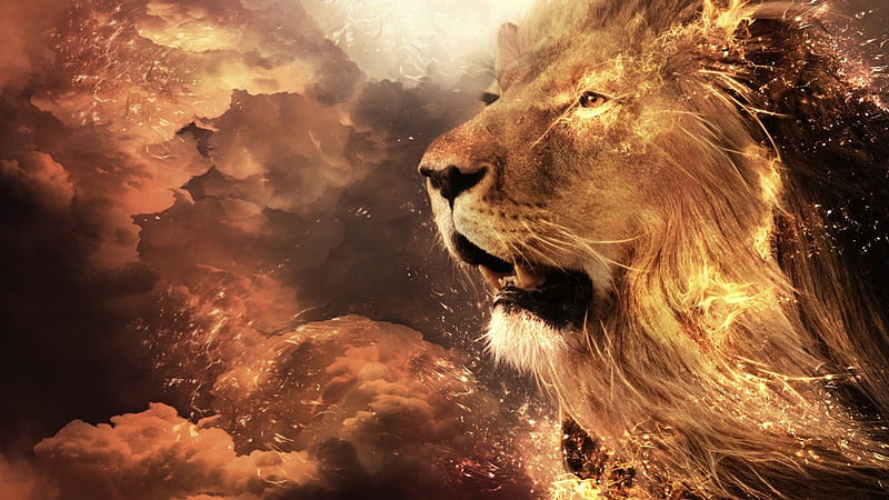 Aslan, fire, fantasy, movie, narnia, lion, animal, HD wallpaper