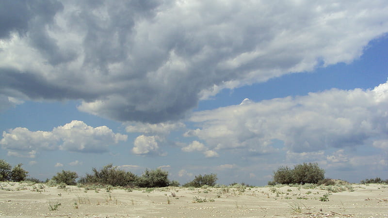 Storm clouds high above the beach, beach, sand, cloud, shell, HD wallpaper