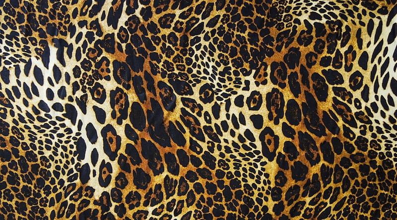 Animal print leopardo glitter  Cheetah print wallpaper, Leopard print  wallpaper, Animal print wallpaper