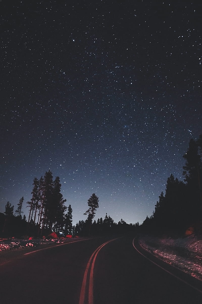 Noche camino azul, paisajes forset, originales, cielo, árboles, Fondo de  pantalla de teléfono HD | Peakpx