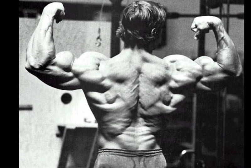 Arnold Schwarzenegger In Gym Photos Wallpaper HD Celebrities 4K Wallpapers  Images Photos and Background  Wallpapers Den  Bodybuilding pictures  Schwarzenegger bodybuilding Arnold schwarzenegger bodybuilding