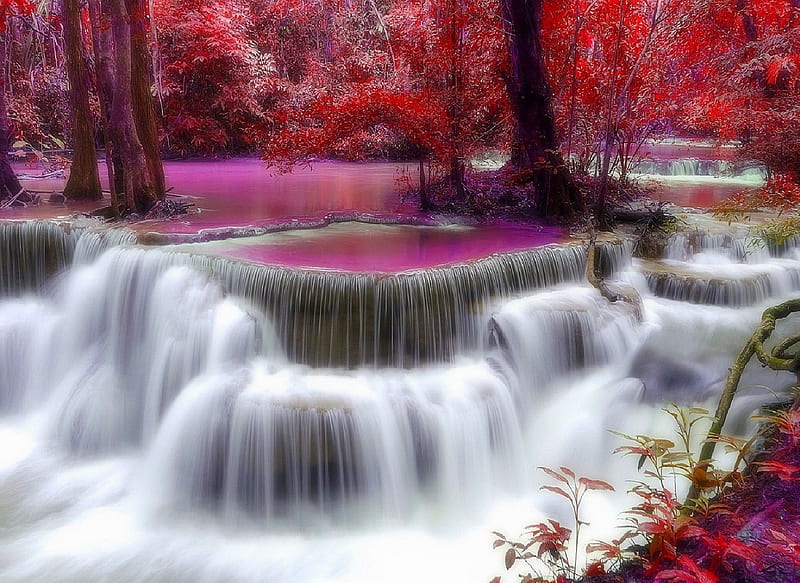 ★Amazing Phenomenon in Fall★, autumn, wonderful, stunning, splendid, attractions in dreams, bonito, most ed, seasons, graphy, forests, amazing, fall season, colors, love four seasons, creative pre-made, trees, waterfalls, paradise, best of the best, plants, nature, phenomenon, HD wallpaper