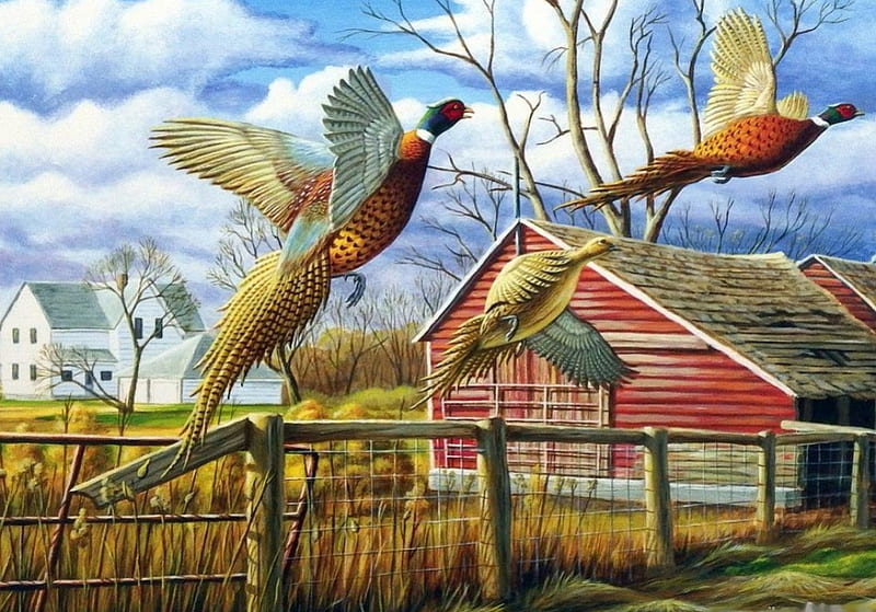 Dakota Farmyard Pheasants, fence, painting, ducks, House, artwork, barn, HD wallpaper