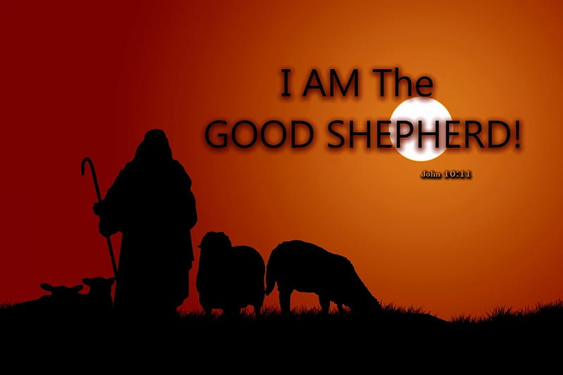 The Good Shepherd, bible verses, sunset, shepherd, sheep, jesus, scriptures, lamb, bible, god, holy spirit, HD wallpaper