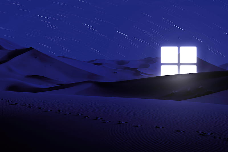 Microsoft Night Light , windows, microsoft, computer, logo, HD wallpaper