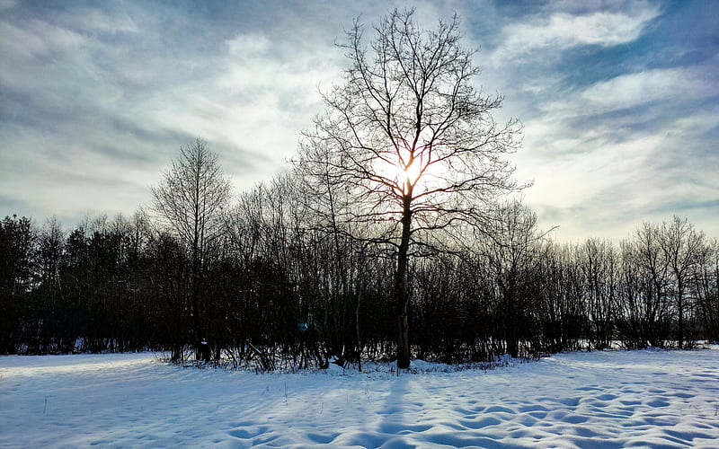Winter in southern Poland near Kielce city, sky, snow, trees, landscape, clouds, HD wallpaper
