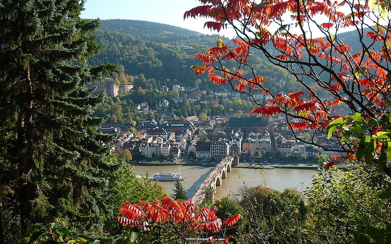 Heidelberg, Germany, wiew, Germany, landscape, town, HD wallpaper