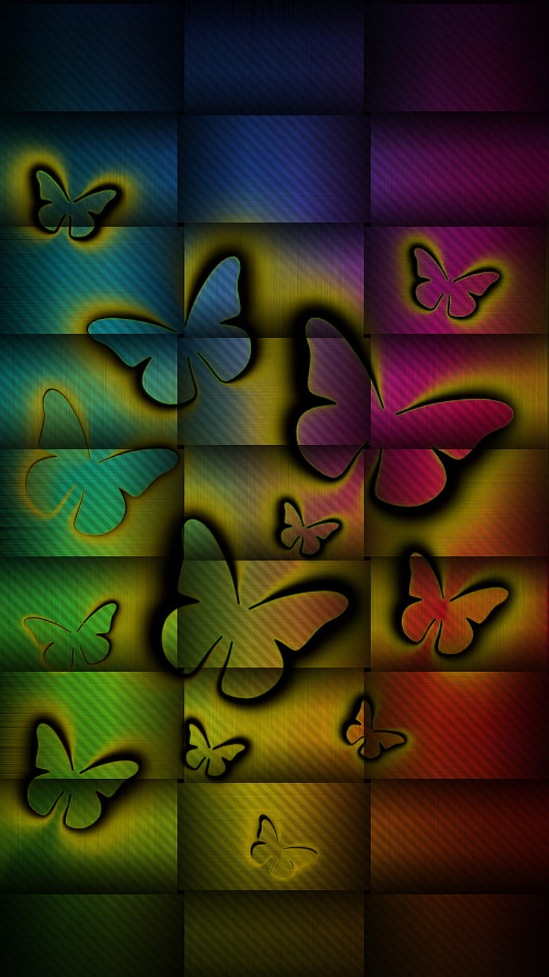 butterfly, color, papillon, HD phone wallpaper