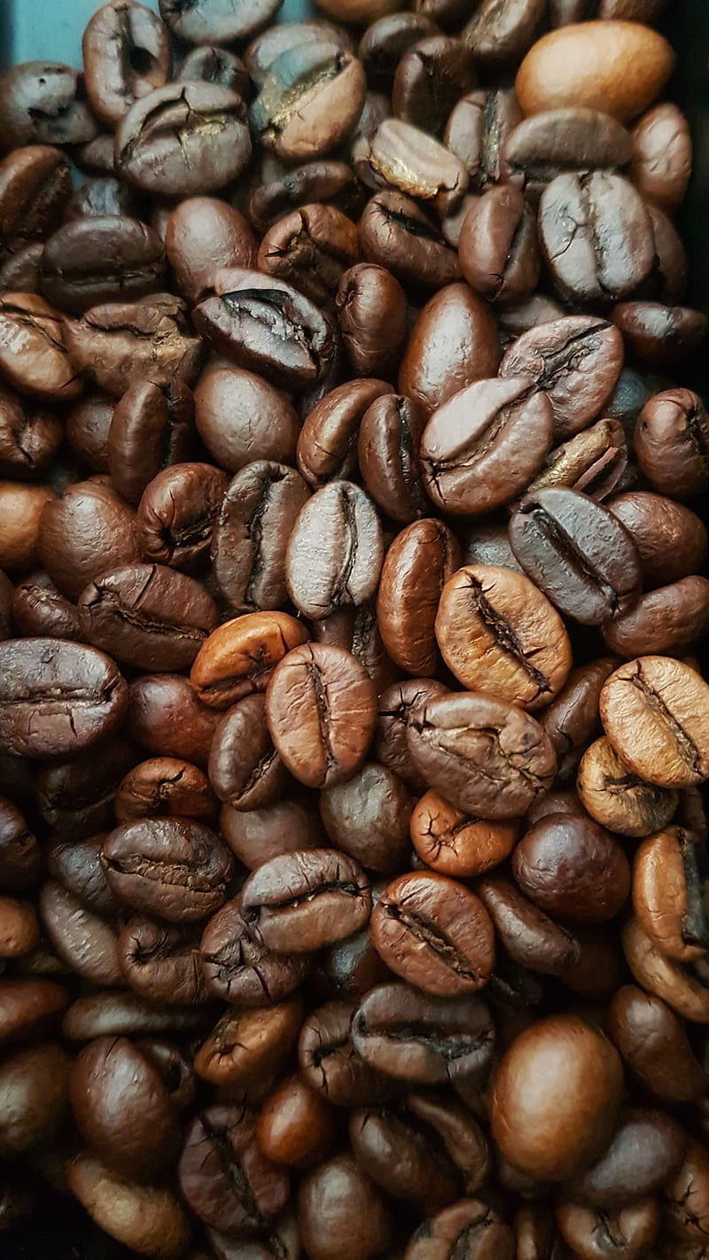 Coffee beans, cafe, morning, HD phone wallpaper | Peakpx