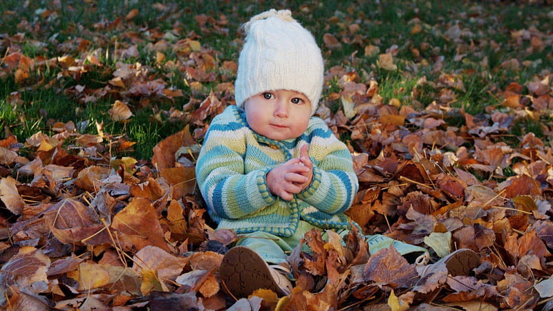 Cute Little Baby Boy Is Sitting On Dry Leaves Wearing Colorful Woolen Knitted Sweater And Cap Cute, HD wallpaper