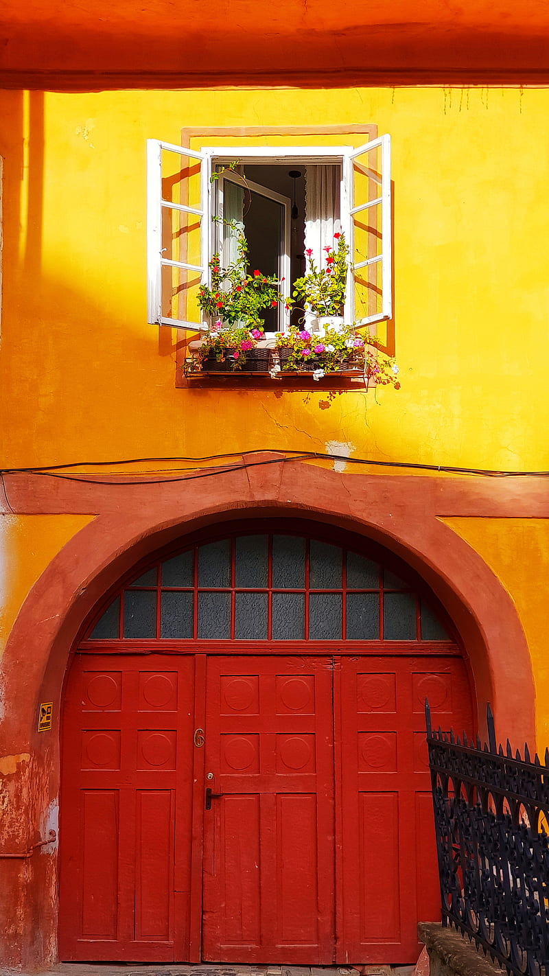 Colorful life, village, nature, red, door, sighisoara, flowers, window, symmetry, accents, HD phone wallpaper