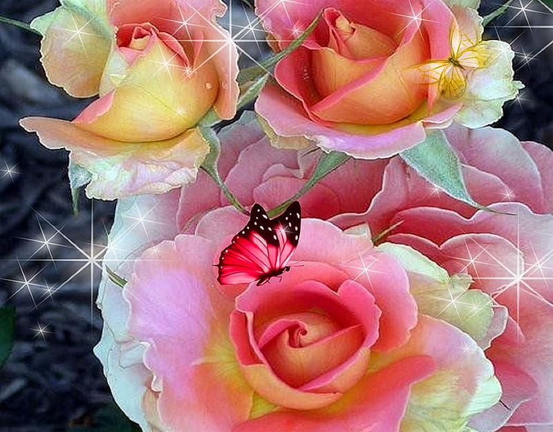Brass Band Roses, Fine Art America, album, awesome pink world, flowers, grandma gingerbread, butterflies, HD wallpaper