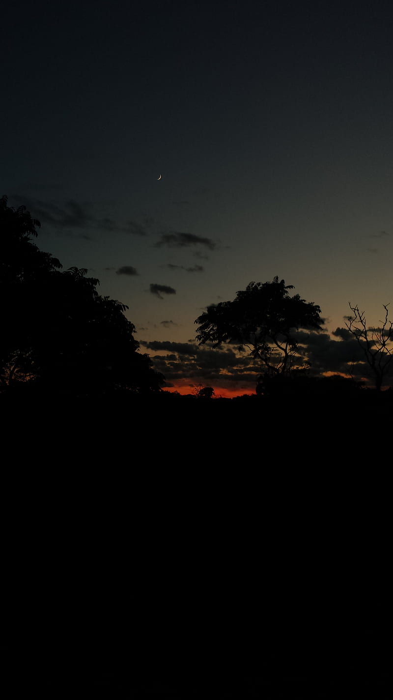 Dark Sunset, nature, night, real, red, sky, trees, HD phone wallpaper