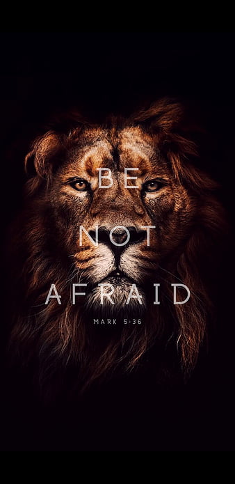 Be Not Afraid, bible, christianity, courage, fearless, jesus, king, lion, lions, HD phone wallpaper